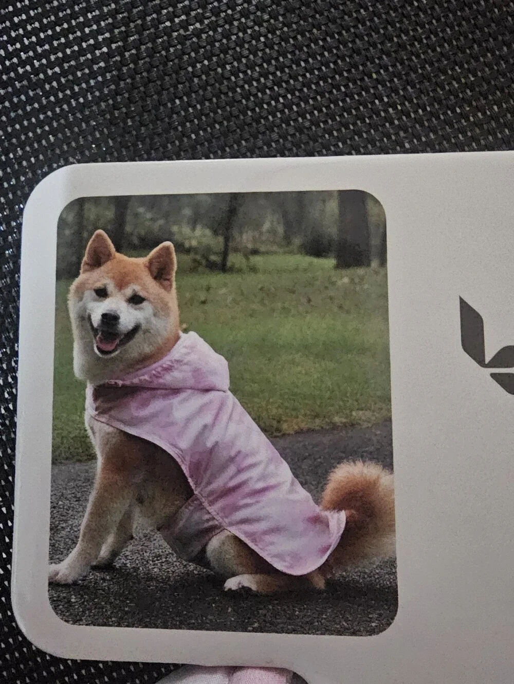 Nwt Dog Rain Jacket